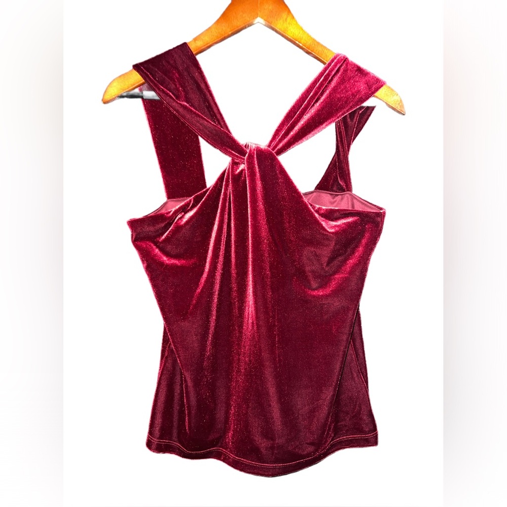 Banana republic velvet blouse